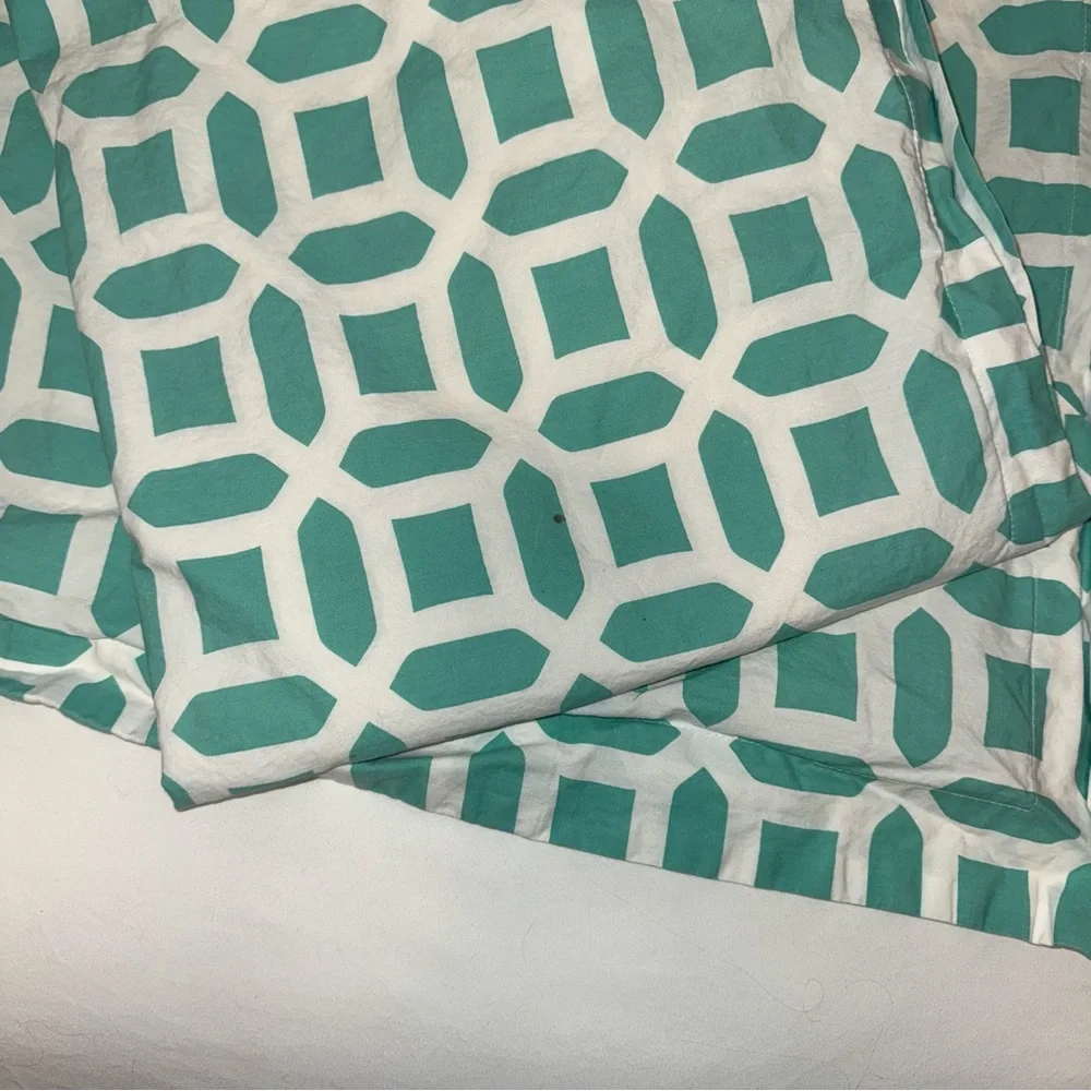 Pottery Barn Peyton euro pillow shams